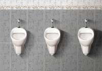 ������� ������� ������� 032110 ��������� �����