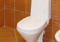 ������-������� Sanita ���������