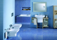 ���� ��������� Roca Dama Senso 357515000